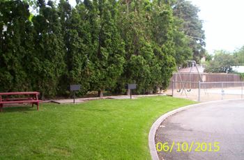 Picnic and bbq area